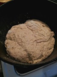dough in hot cast iron dutch oven for bake